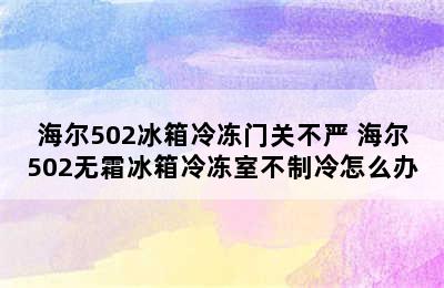 海尔502冰箱冷冻门关不严 海尔502无霜冰箱冷冻室不制冷怎么办